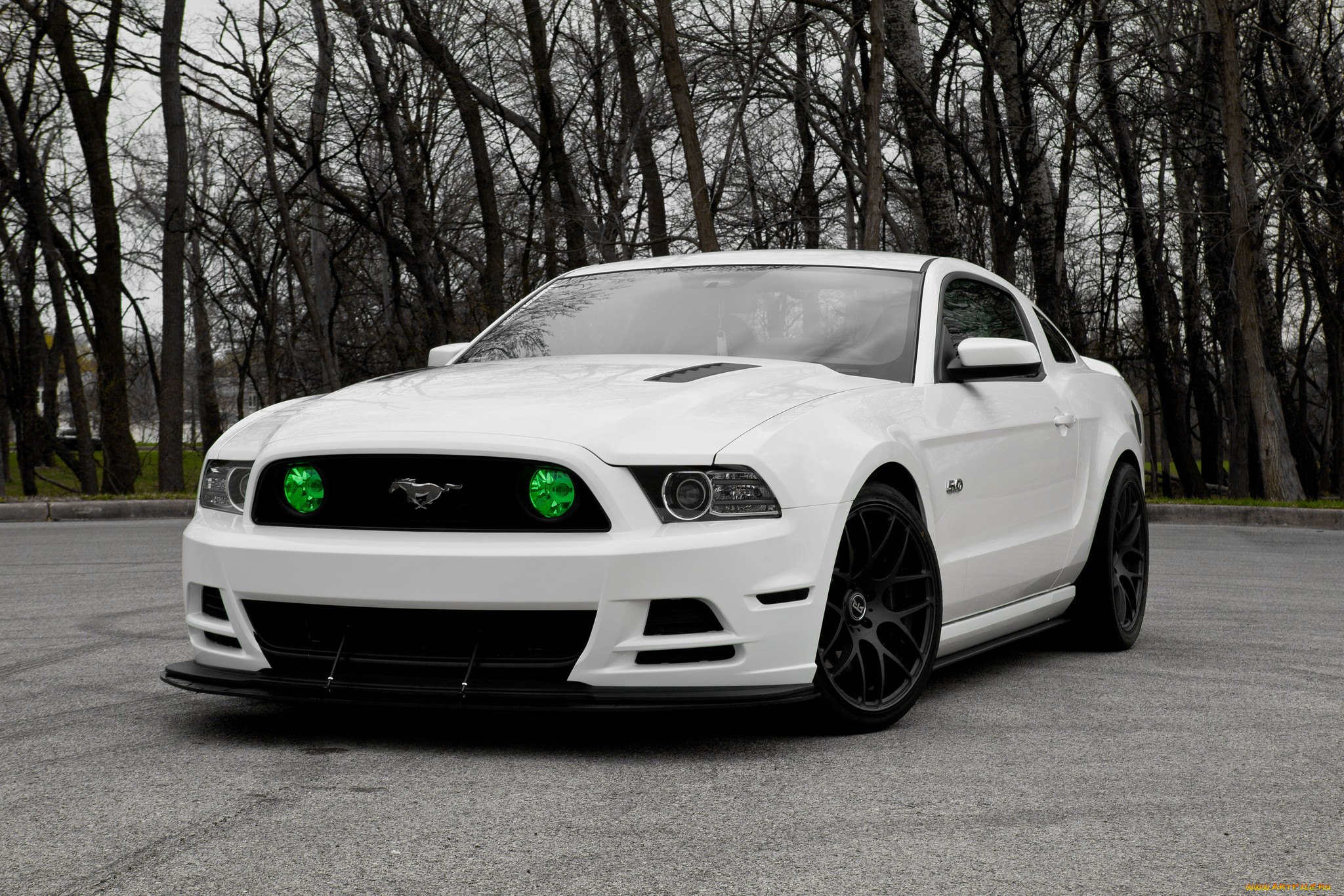 One of the girls streets white mustang